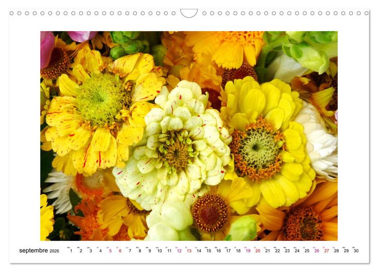 Produktbild: Fleurs - un m&eacute;lange color&eacute; (Calendrier mural 2026 DIN A3 vertical), CALVENDO calendrier mensuel