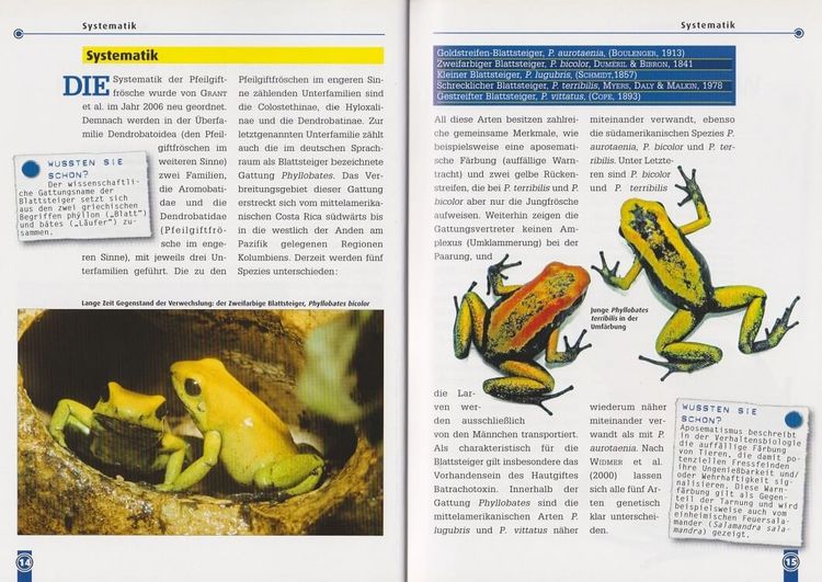 Produktbild: Der Schreckliche Pfeilgiftfrosch