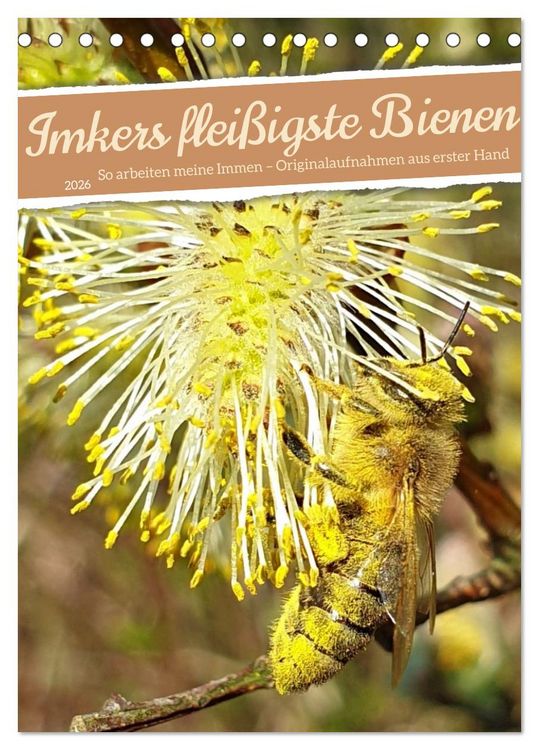 Produktbild: Imkers flei&szlig;igste Bienen - So arbeiten meine Immen &ndash; Originalaufnahmen aus erster Hand (Tischkalender 2026 DIN A5 hoch), CALVENDO Monatskalender