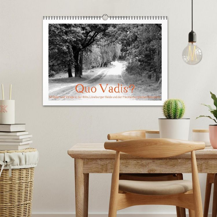 Produktbild: Quo Vadis? W&auml;lder und Wege in der R&ouml;hn, L&uuml;neburger Heide und der Mecklenburgischen Seenplatte (Wandkalender 2026 DIN A3 quer), CALVENDO Monatskalender