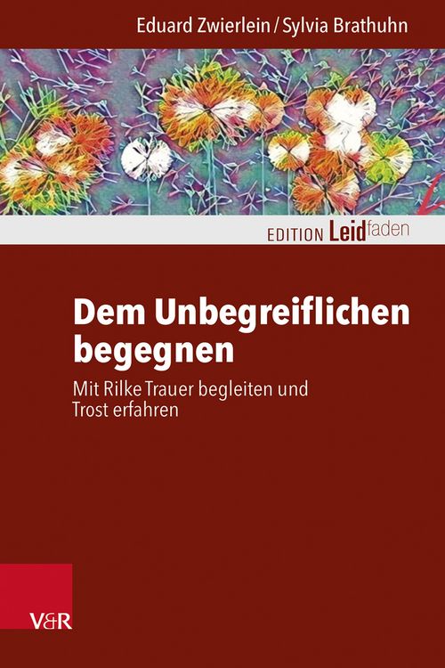 Produktbild: Dem Unbegreiflichen begegnen