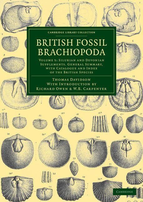 Produktbild: British Fossil Brachiopoda - Volume 5