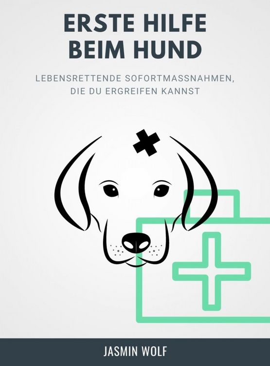 Produktbild: Erste Hilfe beim Hund