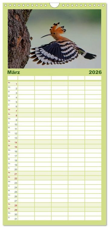 Produktbild: Familienplaner 2026 - Wiedehopf mit 5 Spalten (Wandkalender, 21 x 45 cm) CALVENDO