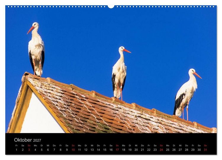 Produktbild: E L S A S S Impressionen (Wandkalender 2027 DIN A2 quer), CALVENDO Monatskalender