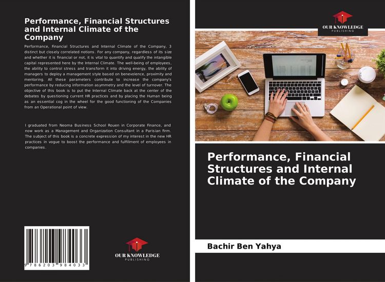 Produktbild: Performance, Financial Structures and Internal Climate of the Company