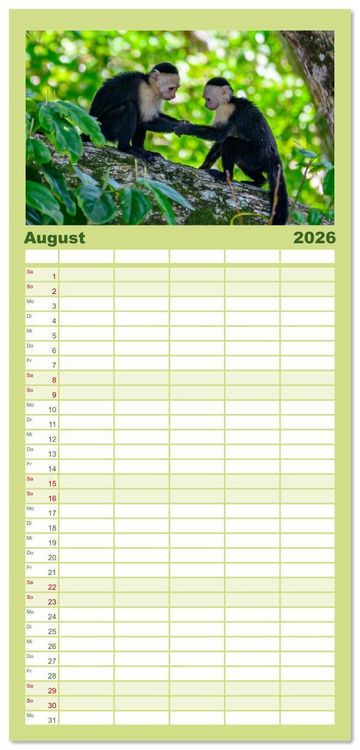 Produktbild: Familienplaner 2026 - Costa Rica - Naturparadies zwischen Karibik und Pazifik mit 5 Spalten (Wandkalender, 21 x 45 cm) CALVENDO