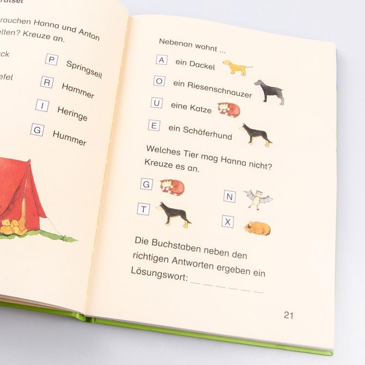 Produktbild: LESEMAUS zum Lesenlernen Sammelb&auml;nde: Das gro&szlig;e Buch zum Lesenlernen