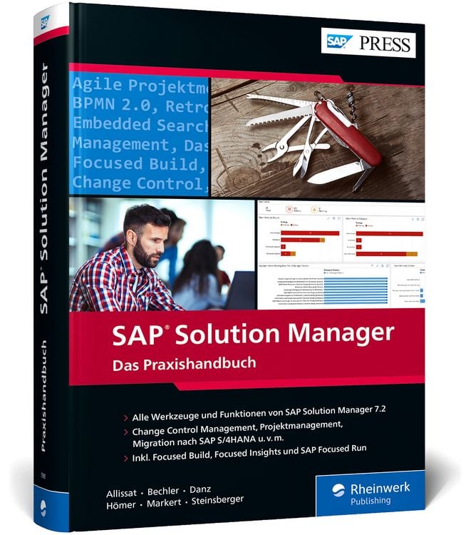 Bild vom Artikel SAP Solution Manager vom Autor René Allissat