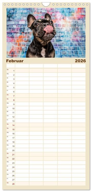 Produktbild: Familienplaner 2026 - Cool Dogs - Hunde-Spa&szlig; im Studio mit 5 Spalten (Wandkalender, 21 x 45 cm) CALVENDO