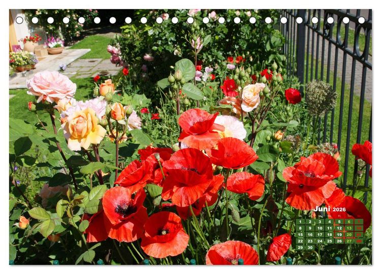 Produktbild: Urlaub im Garten (Tischkalender 2026 DIN A5 quer), CALVENDO Monatskalender