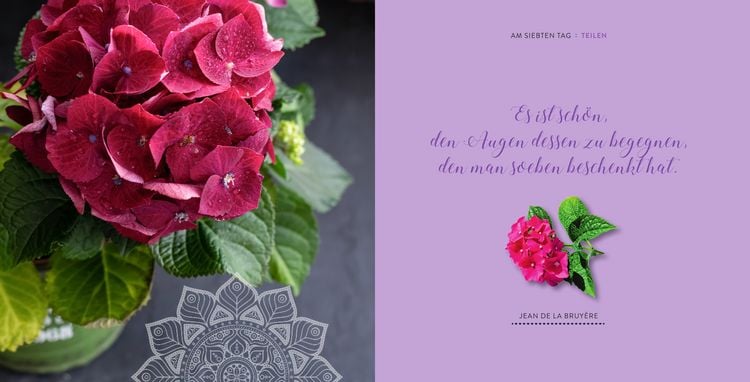 Produktbild: Sieben Tage Harmonie