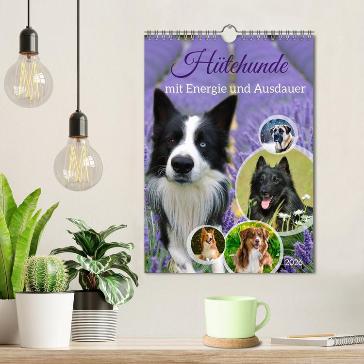 Produktbild: H&uuml;tehunde mit Energie und Ausdauer (Wandkalender 2026 DIN A4 hoch), CALVENDO Monatskalender