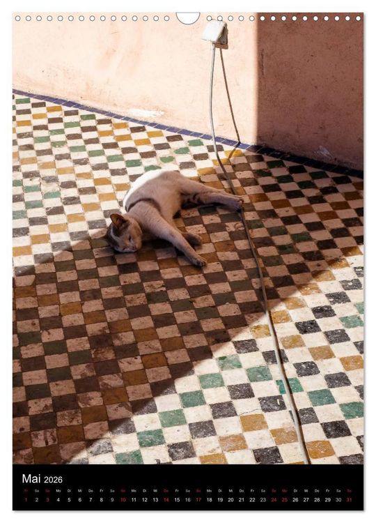 Produktbild: Katzen in Marokko (Wandkalender 2026 DIN A3 hoch), CALVENDO Monatskalender
