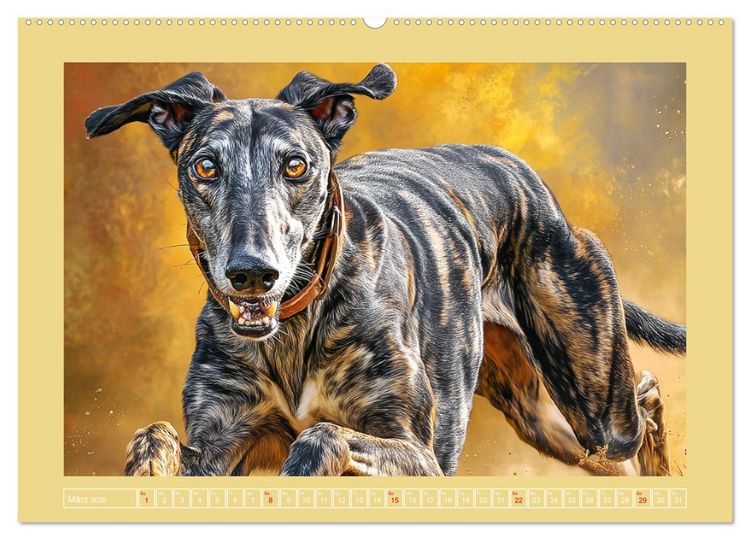 Produktbild: Windhunde. Seelenfl&uuml;sterer zwischen Anmut, Tempo und Stille (hochwertiger Premium Wandkalender 2026 DIN A2 quer), Kunstdruck in Hochglanz