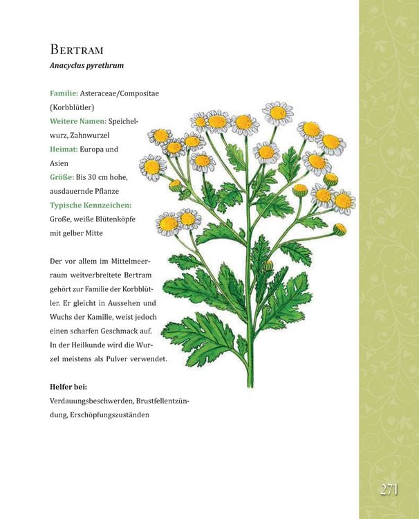 Produktbild: Das gro&szlig;e Buch der Hildegard von Bingen