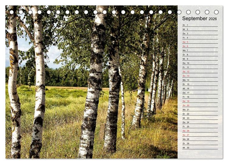 Produktbild: Litauen - Streifz&uuml;ge durch die junge Ostseerepublik (Tischkalender 2026 DIN A5 quer), CALVENDO Monatskalender
