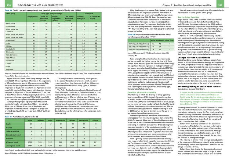 Produktbild: Sociology Themes and Perspectives