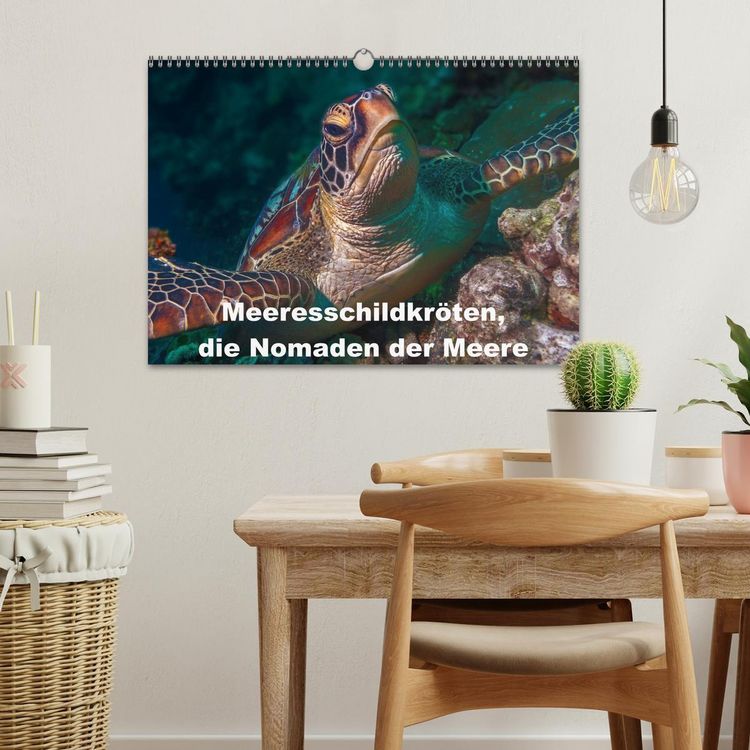 Produktbild: Meeresschildkr&ouml;ten, die Nomaden der Meere (Wandkalender 2026 DIN A3 quer), CALVENDO Monatskalender