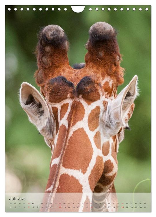 Produktbild: Emotionale Momente: Giraffen, die h&ouml;chsten Tiere der Welt. (Wandkalender 2026 DIN A4 hoch), CALVENDO Monatskalender