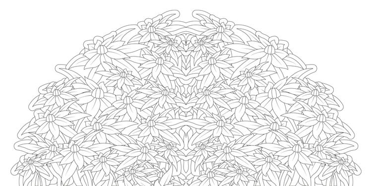 Produktbild: Floral Mandalas Colouring book
