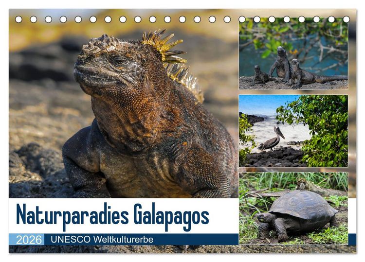 Produktbild: Naturparadies Galapagos - UNESCO Weltkulturerbe (Tischkalender 2026 DIN A5 quer), CALVENDO Monatskalender