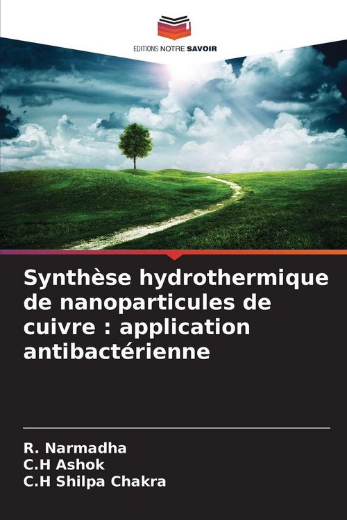 Produktbild: Synth&egrave;se hydrothermique de nanoparticules de cuivre : application antibact&eacute;rienne