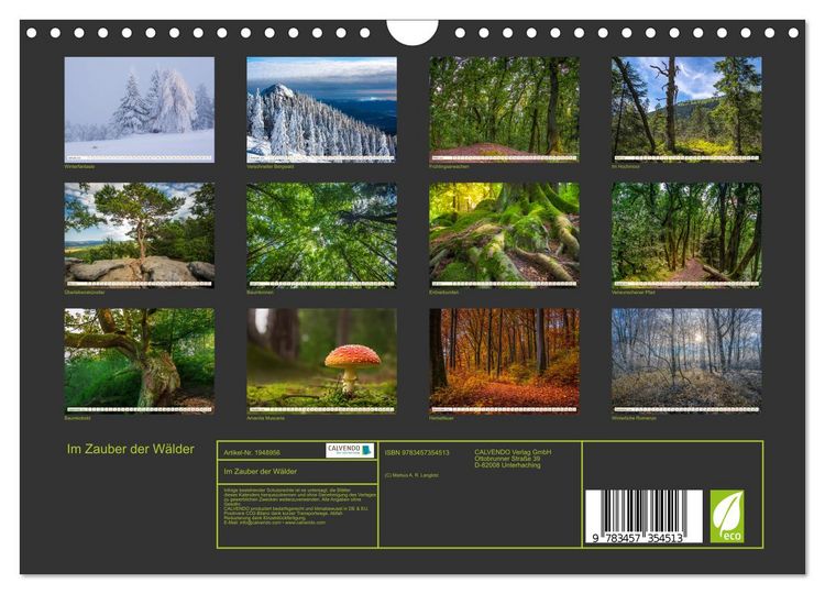 Produktbild: Im Zauber der W&auml;lder (Wandkalender 2026 DIN A4 quer), CALVENDO Monatskalender