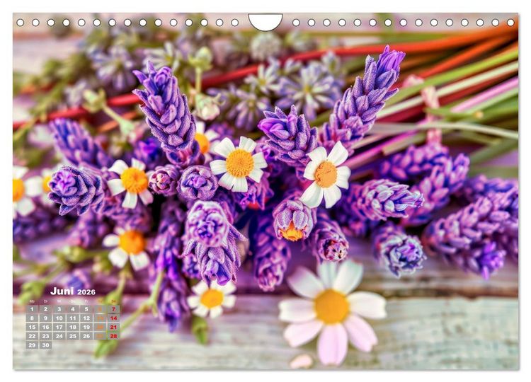 Produktbild: Lavendel f&uuml;r deine Sinne (Wandkalender 2026 DIN A4 quer), CALVENDO Monatskalender