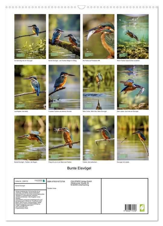Produktbild: Bunte Eisv&ouml;gel (Wandkalender 2027 DIN A2 hoch), CALVENDO Monatskalender