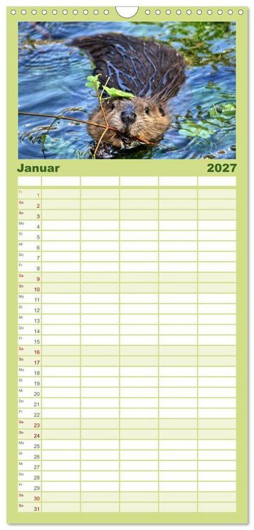 Produktbild: Familienplaner 2027 - Das Leben der Biber mit 5 Spalten (Wandkalender, 21 x 45 cm) CALVENDO