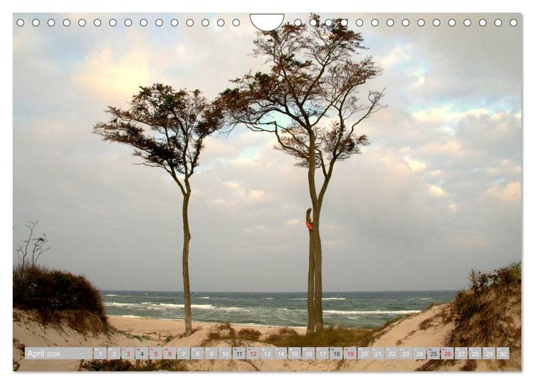 Produktbild: Die Ostsee (Wandkalender 2026 DIN A4 quer), CALVENDO Monatskalender