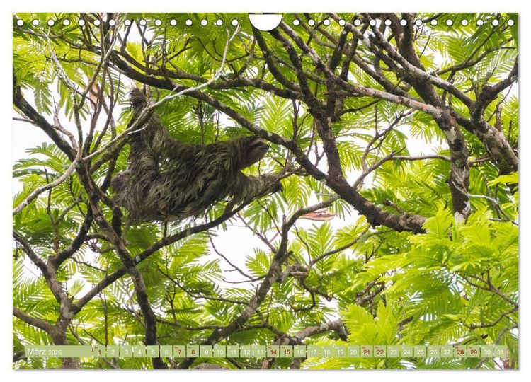 Produktbild: Farbenfrohes Costa Rica (Wandkalender 2026 DIN A4 quer), CALVENDO Monatskalender