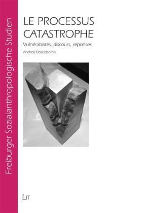 Produktbild: Le processus catastrophe