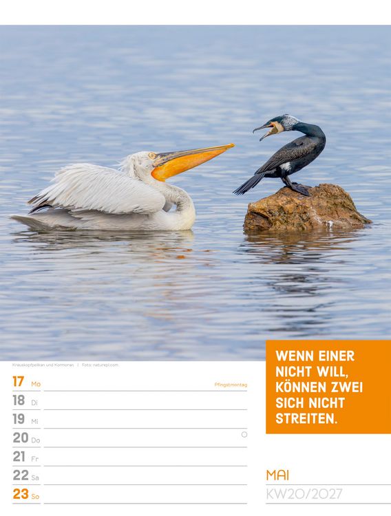 Produktbild: Tierisch Spr&uuml;chekalender Wochenplaner 2027