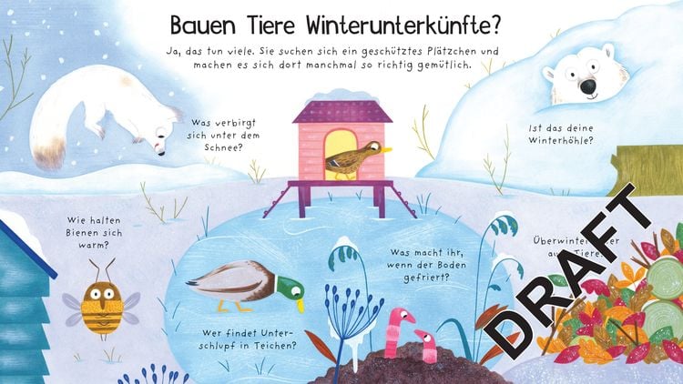 Erstes Aufklappen und Verstehen: Wo sind die Tiere im Winter?