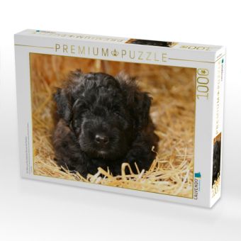 Produktbild: CALVENDO Puzzle Ein Motiv aus dem Kalender Bouvier des Flandres | 1000 Teile Lege-Gr&ouml;&szlig;e 64x48cm Foto-Puzzle f&uuml;r gl&uuml;ckliche Stunden