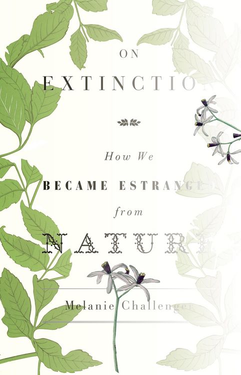 Produktbild: On Extinction