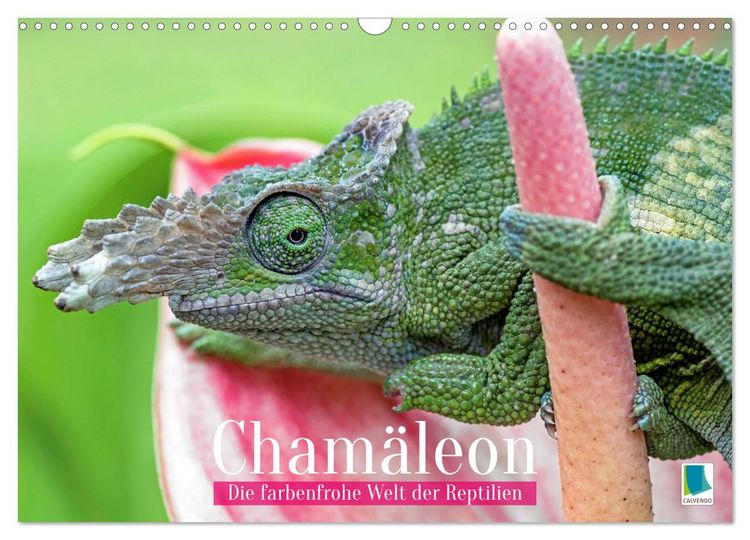 Produktbild: Cham&auml;leon: Die farbenfrohe Welt der Reptilien (Wandkalender 2027 DIN A3 quer), CALVENDO Monatskalender