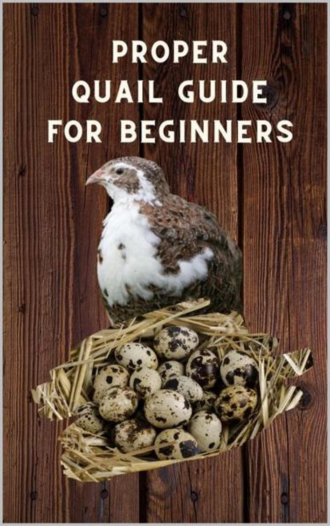 Produktbild: Proper Quail Guide for Beginners