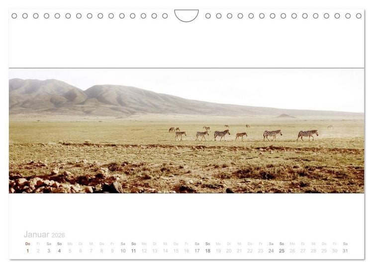 Produktbild: Serengeti Panorama (Wandkalender 2026 DIN A4 quer), CALVENDO Monatskalender