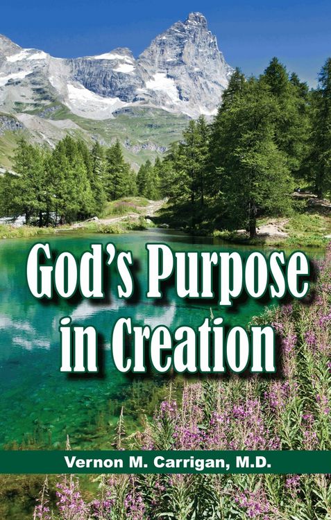Produktbild: God's Purpose in Creation