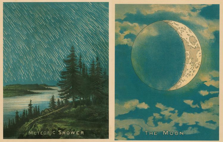 Produktbild: John Derian Picture Book II