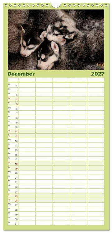 Produktbild: Familienplaner 2027 - Husky Welpen mit 5 Spalten (Wandkalender, 21 x 45 cm) CALVENDO