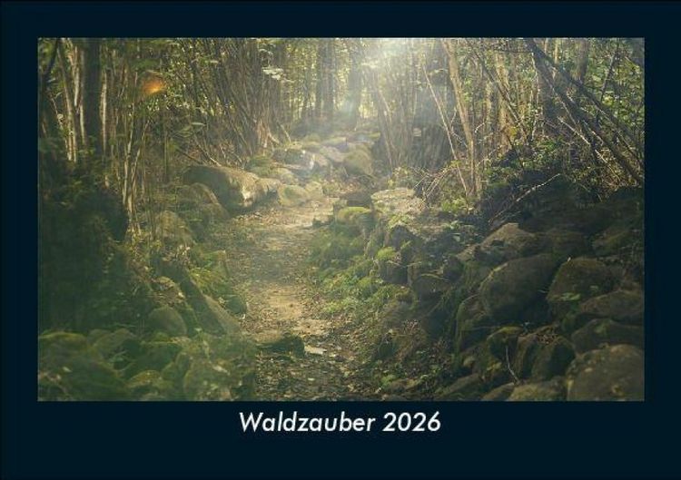 Produktbild: Waldzauber 2026 Fotokalender DIN A5