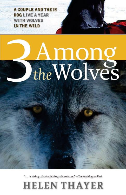 Produktbild: 3 Among The Wolves