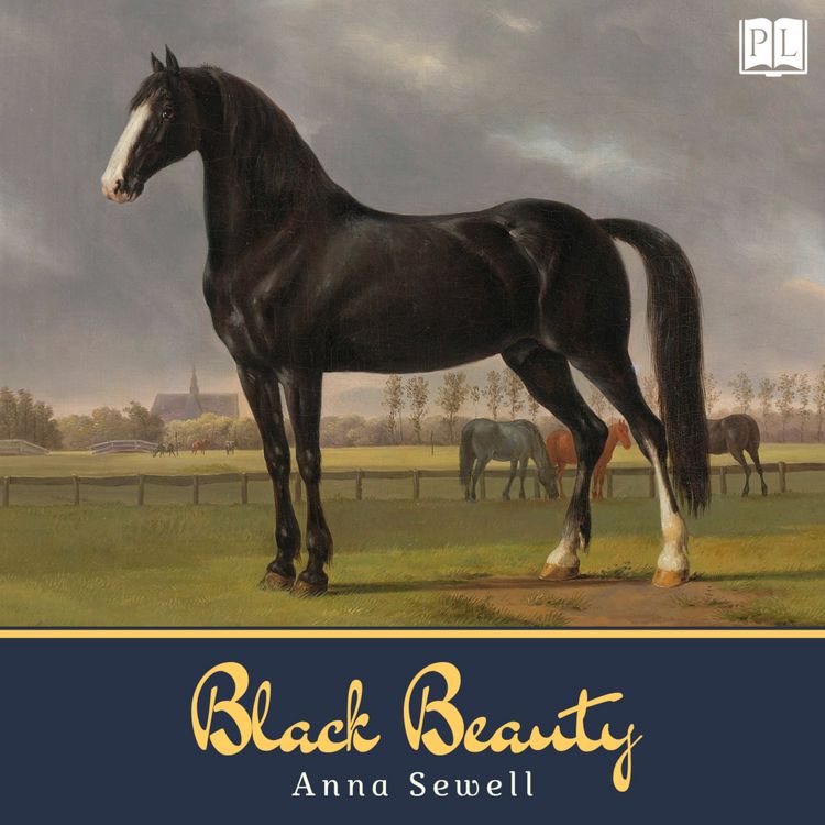 Produktbild: Black Beauty