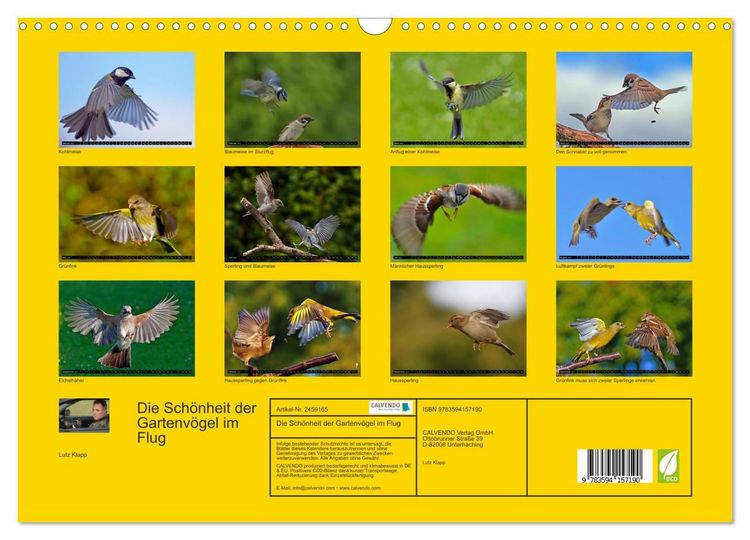 Produktbild: Die Sch&ouml;nheit der Gartenv&ouml;gel im Flug (Wandkalender 2027 DIN A3 quer), CALVENDO Monatskalender