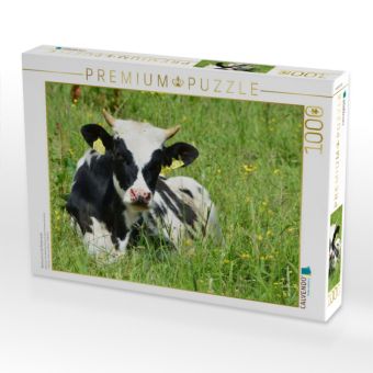 Produktbild: CALVENDO Puzzle Nachwuchs in der Rinderherde | 1000 Teile Lege-Gr&ouml;&szlig;e 64x48cm Foto-Puzzle f&uuml;r gl&uuml;ckliche Stunden