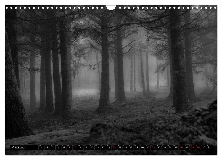 Produktbild: Stille Momente in Schwarz-Weiss (Wandkalender 2027 DIN A3 quer), CALVENDO Monatskalender
